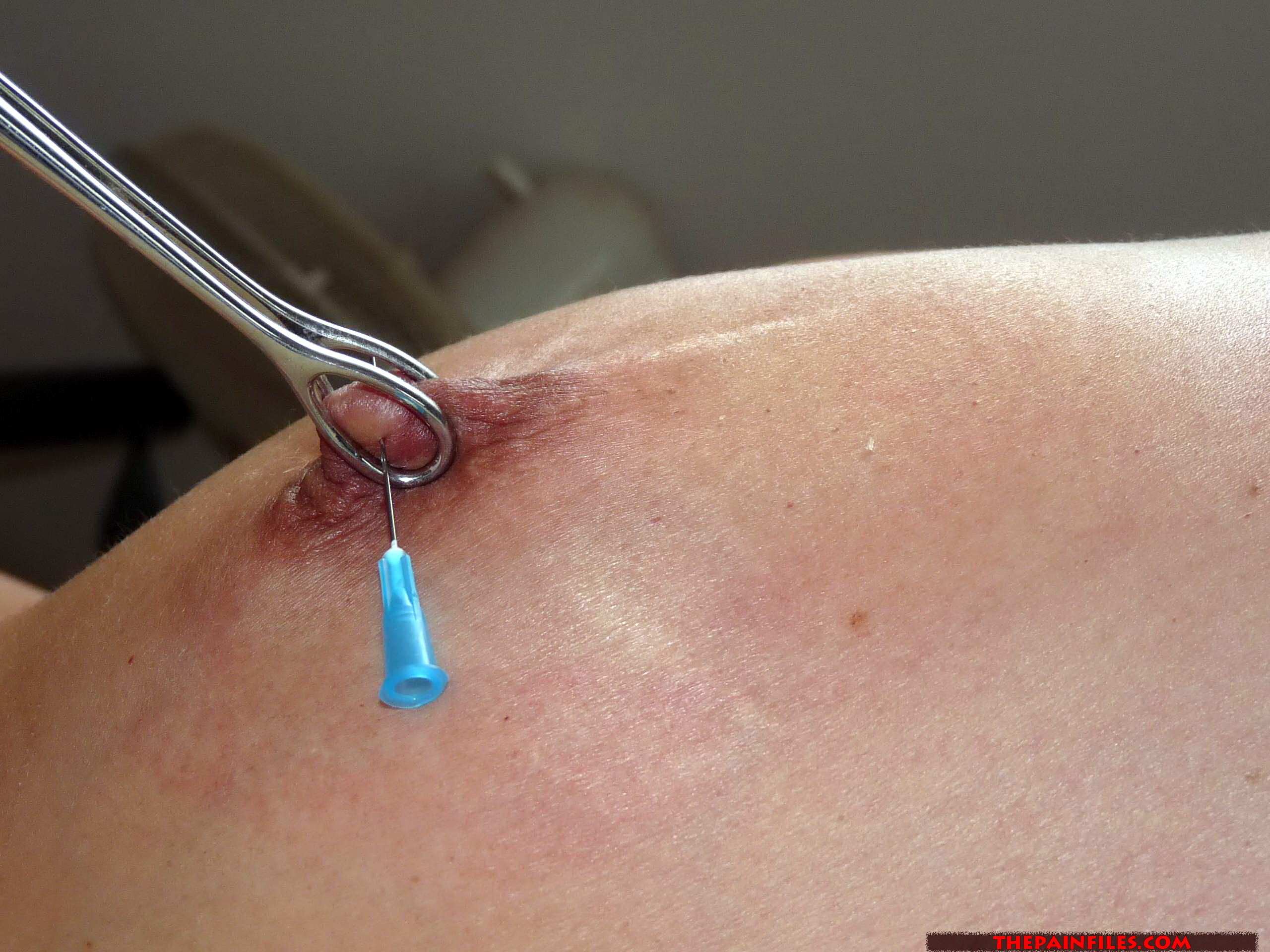 Belgian Needle BDSM pic